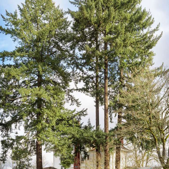 Jessica Helgerson室内设计的维多利亚波特兰住宅