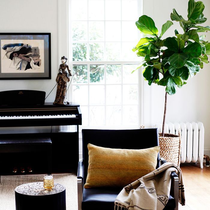 客厅装修中的家西雅图