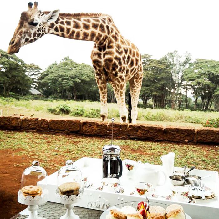 自然爱好者最好去的国家