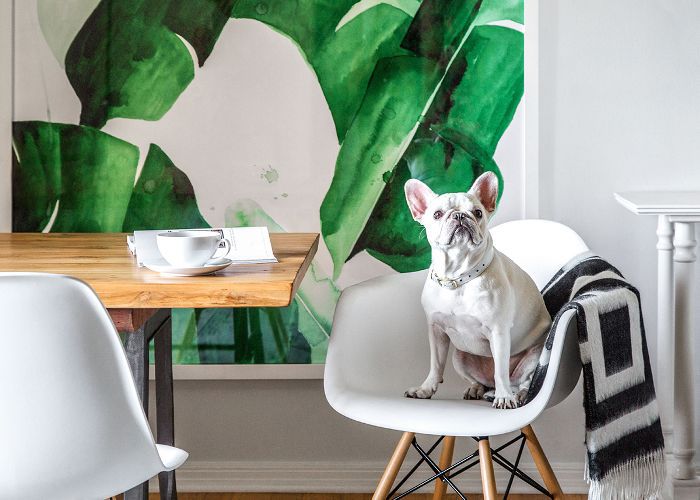 餐厅细节-玛戈和我