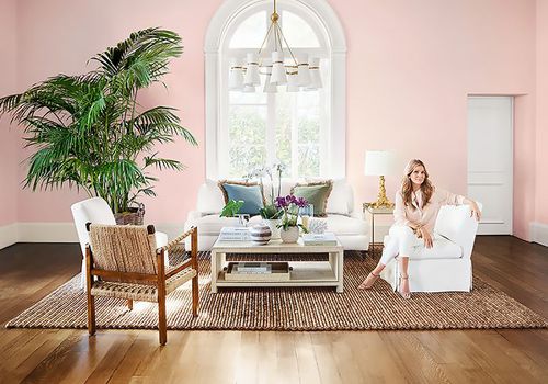 艾琳·兰黛(Aerin Lauder)住在威廉姆斯-索诺玛(Williams-Sonoma)家的客厅里