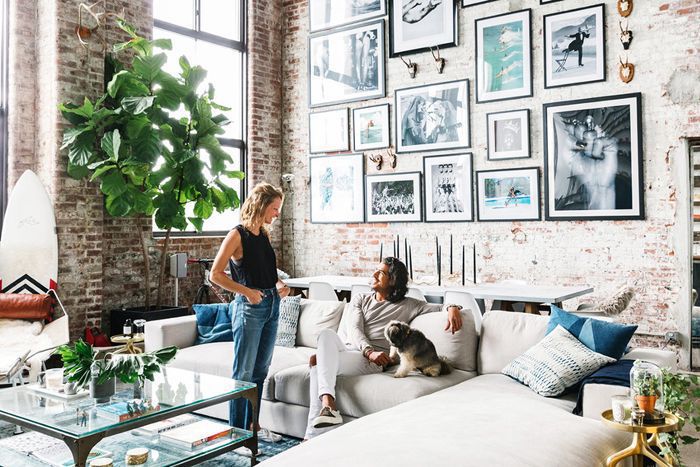 客厅与画廊的墙壁和一个大小提琴叶无花果植物