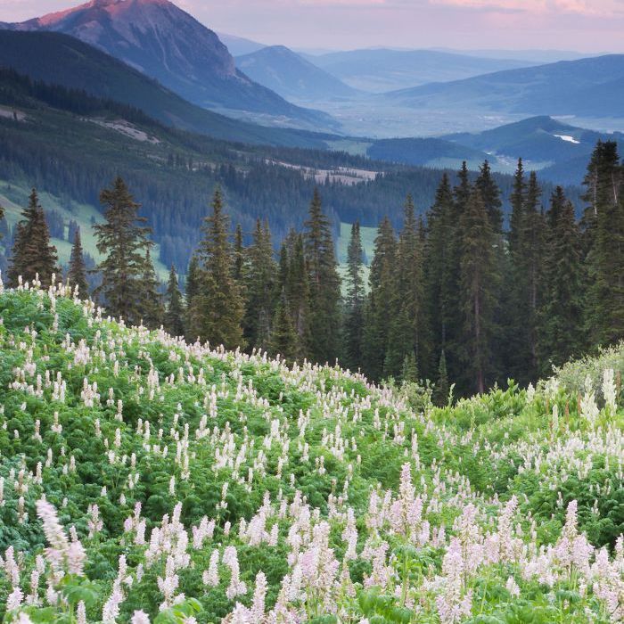 世界上最美的地方