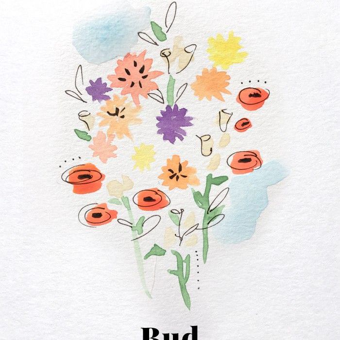 斯蒂芬妮·德安吉里斯原创插图4