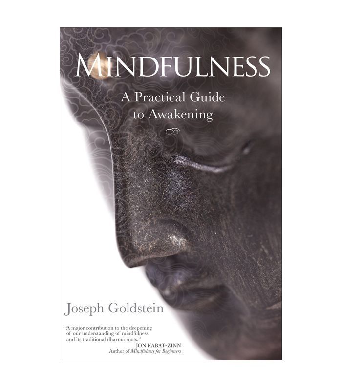 《正念:觉醒的实用指南》约瑟夫·戈尔茨坦著