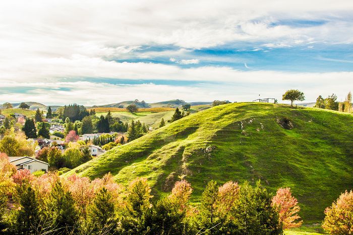 在纳帕徒步旅行”class=