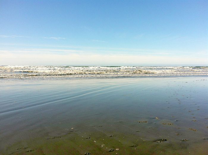 世界上最好的海滩:长滩，华盛顿