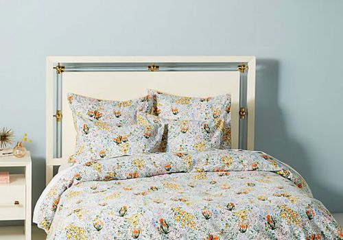 Anthropologie的52个集对话