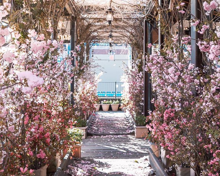 纽约的屋顶餐厅——Gallow Green