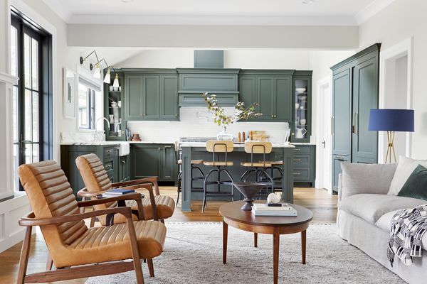 最好的平价地毯在线商店-由Emily Henderson设计的客厅