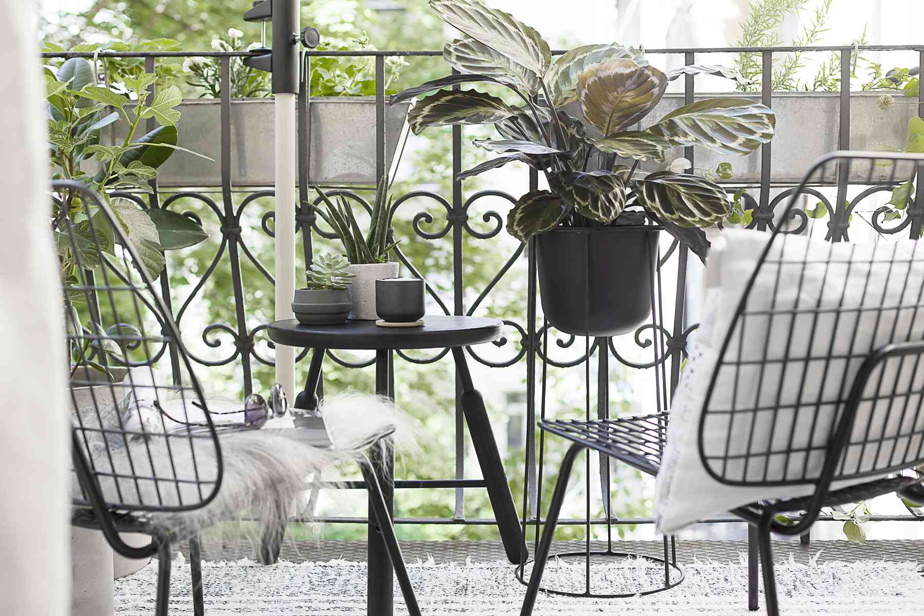 Coco Lapine Flowerboxes.