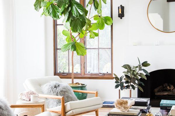 小空间客厅想法