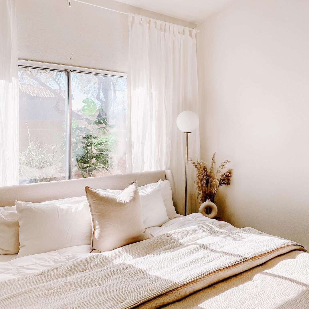 米色卧室，蒲苇草和阳光透过窗户。