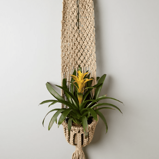 流苏花边挂种植园主