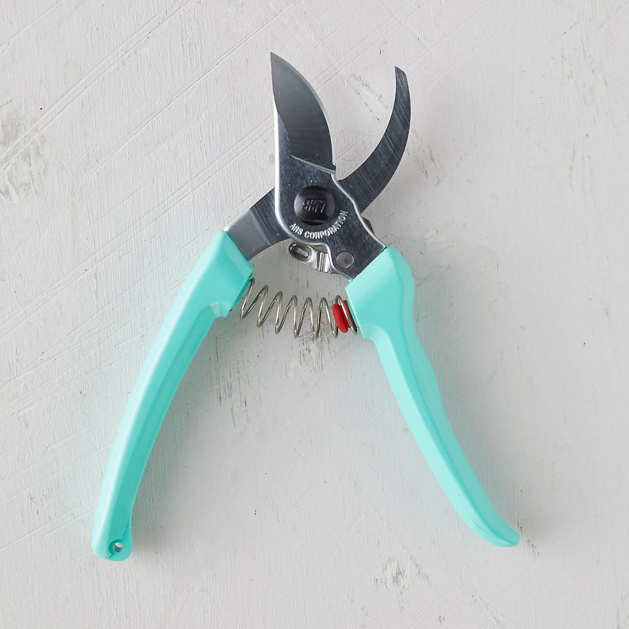 浅蓝色手柄的开放式园艺修剪器