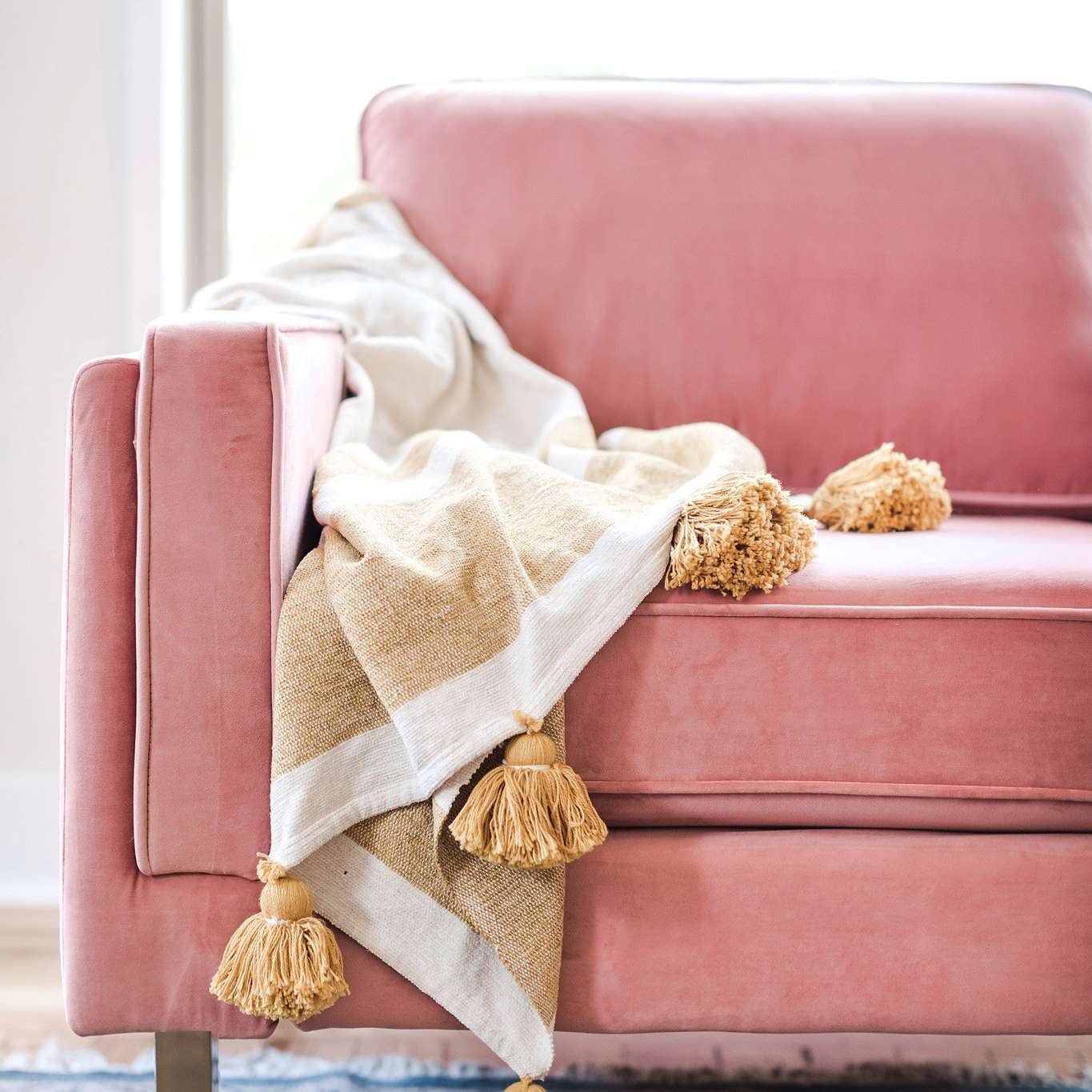 奥尔巴尼天鹅绒Loveseat.