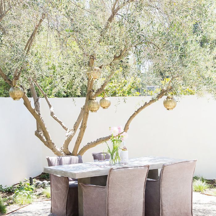 庭院装饰的想法