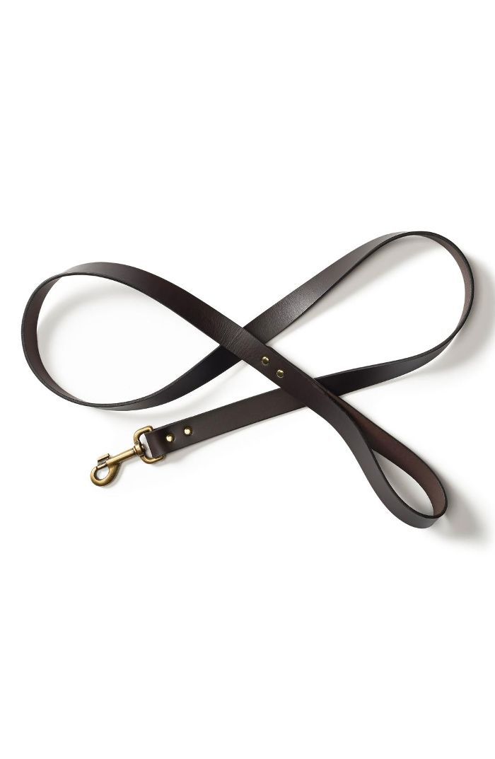 皮狗带混合狗品种