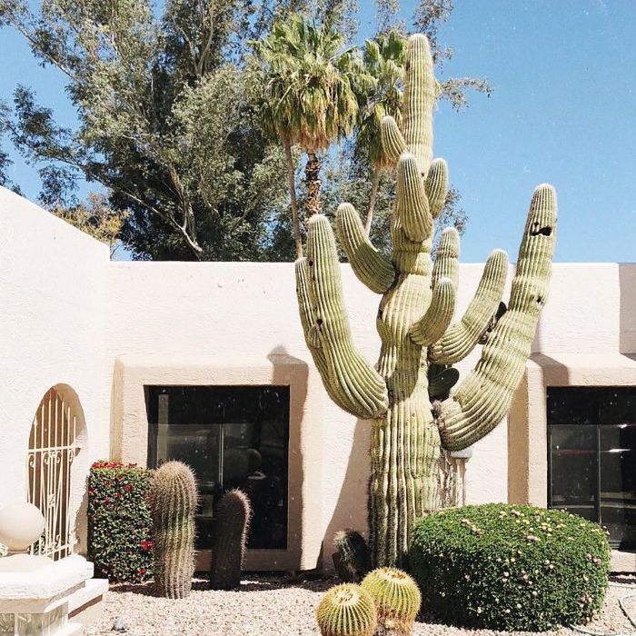 温暖的地方，参观美国二月