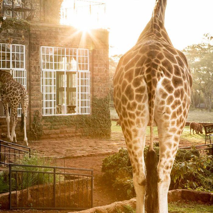 豪华酒店非洲之旅