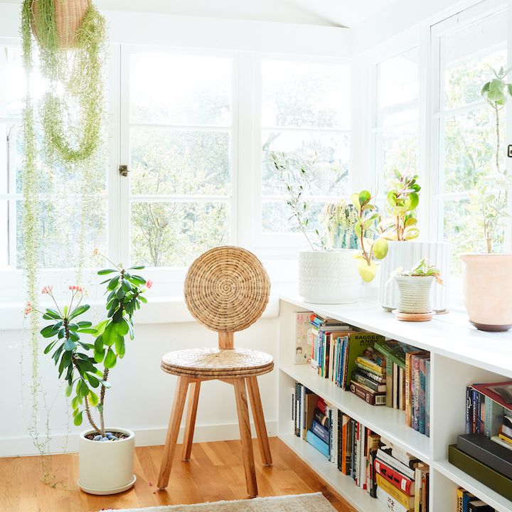 宁静的书屋，悬挂植物和藤椅。