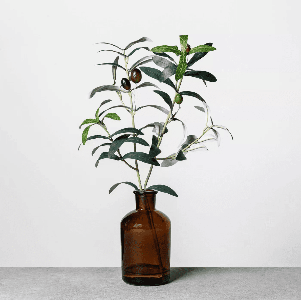 人造琥珀橄榄枝安排 - 炉膛及手用玉兰