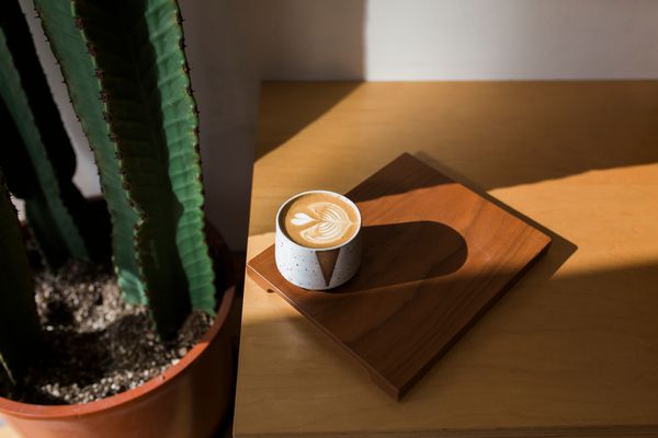 在一棵仙人掌旁边的木板上，有一间挂着爱心艺术的咖啡馆