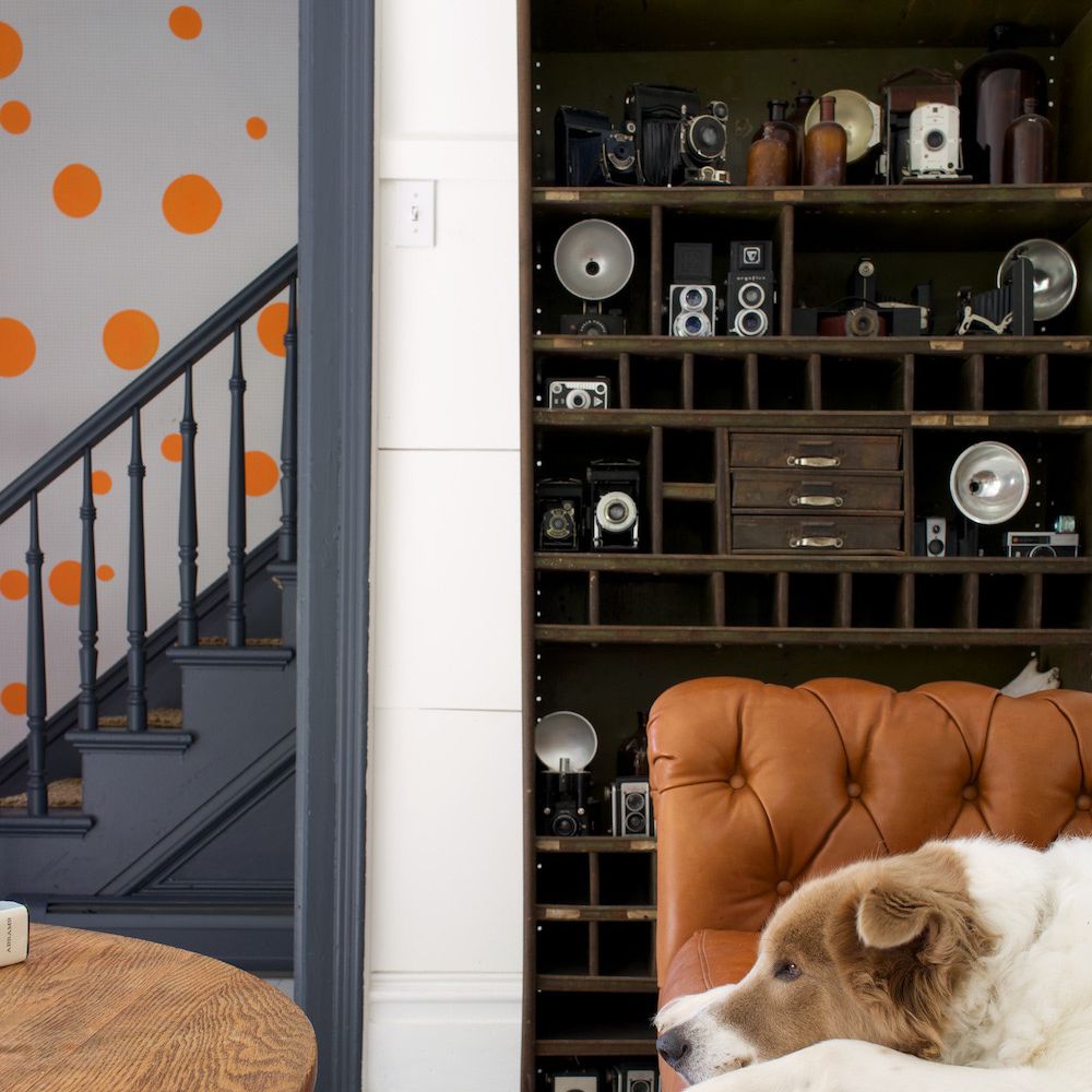 标新立异的装饰