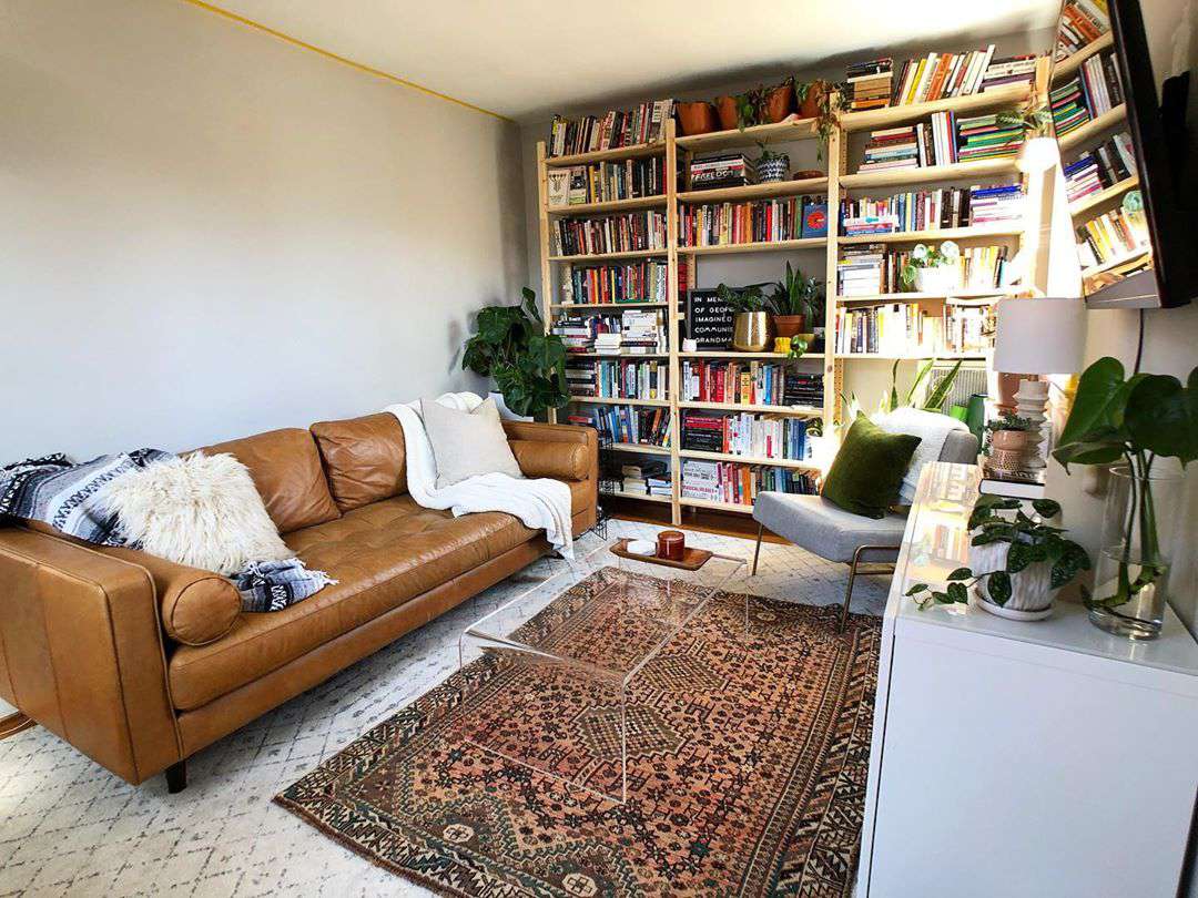 中性的客厅，带书架。