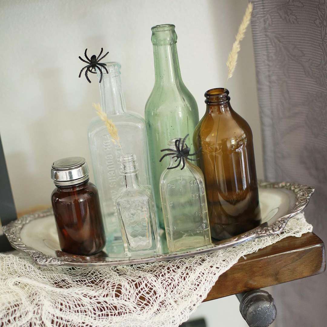 瓶子和蜘蛛