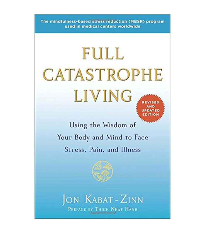 《大灾难》Jon Kabat-Zinn著