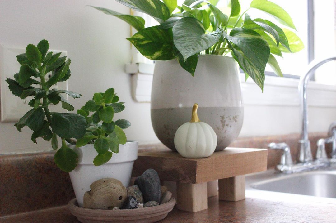 简单的生活牧师的妻子