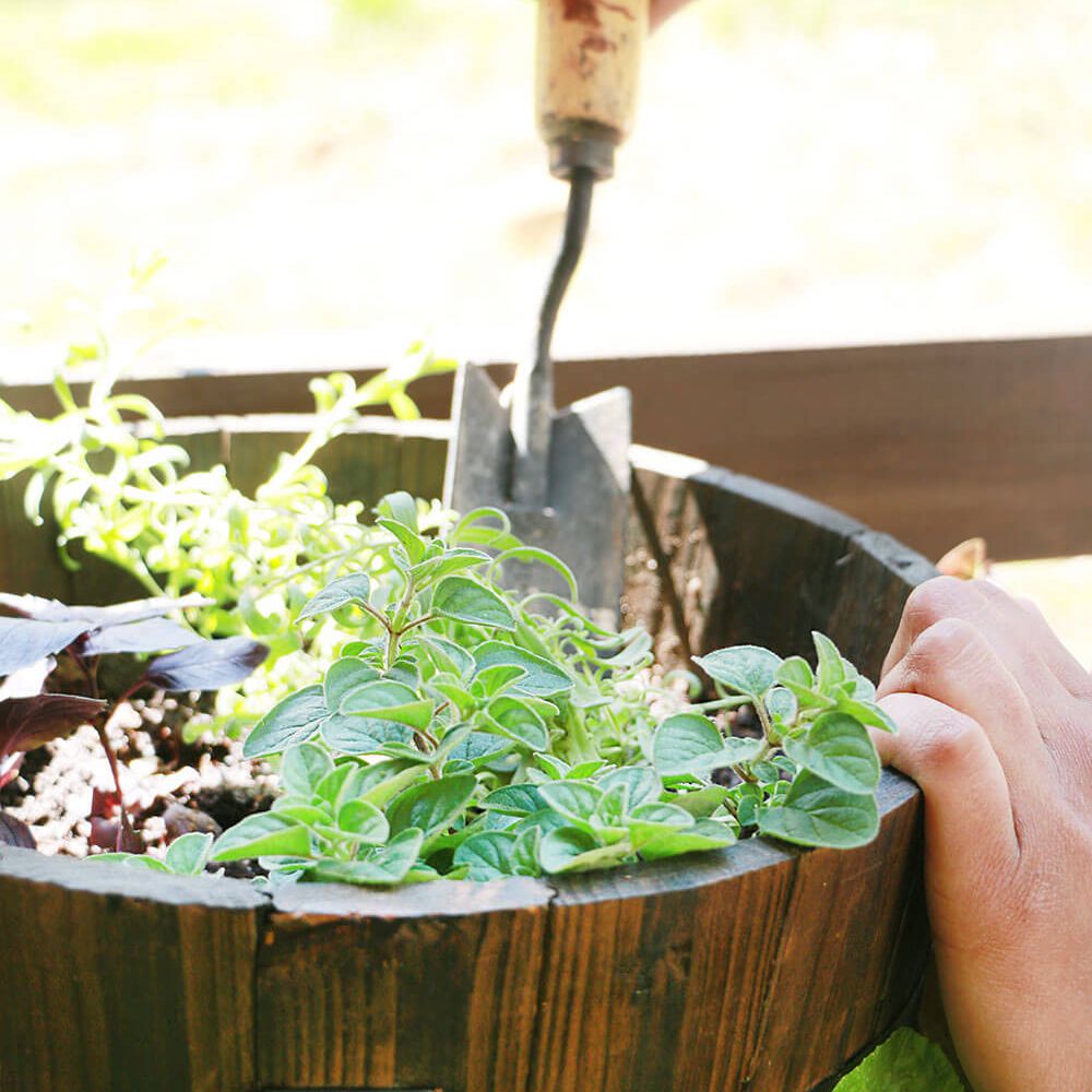 把一罐药草铲进去。