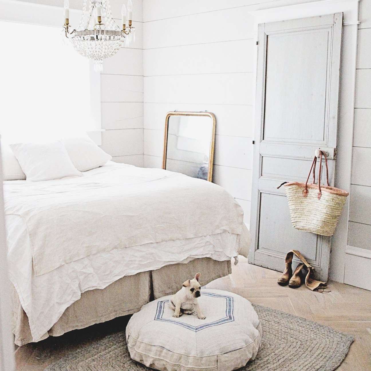 中性卧室配有狗床和水晶吊灯。