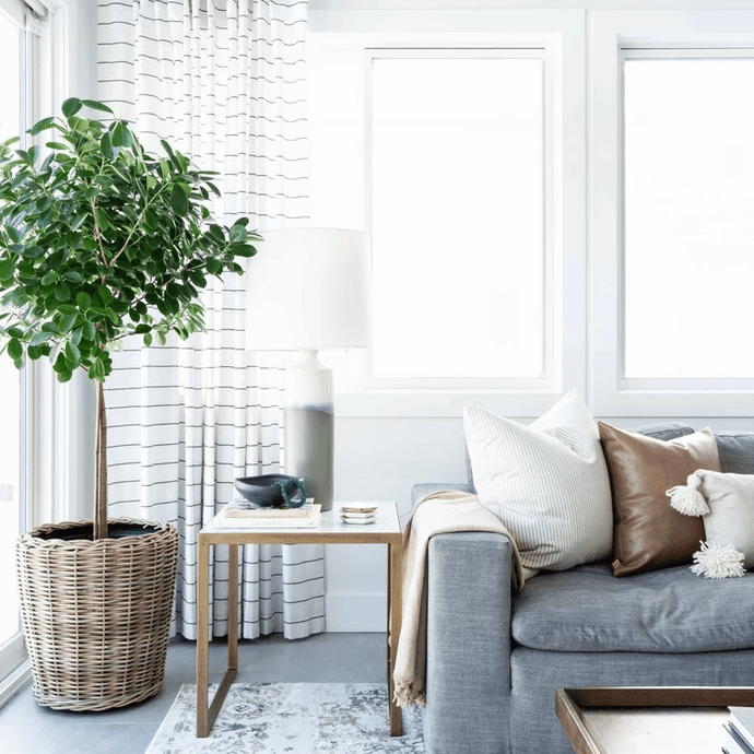 带有条纹窗帘的生活空间