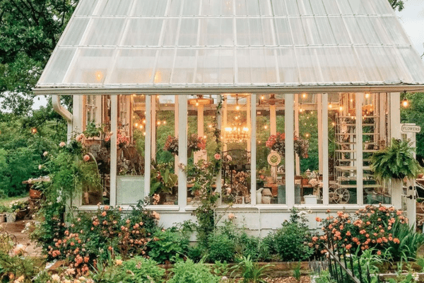 外面有玫瑰花丛的漂亮的温室。