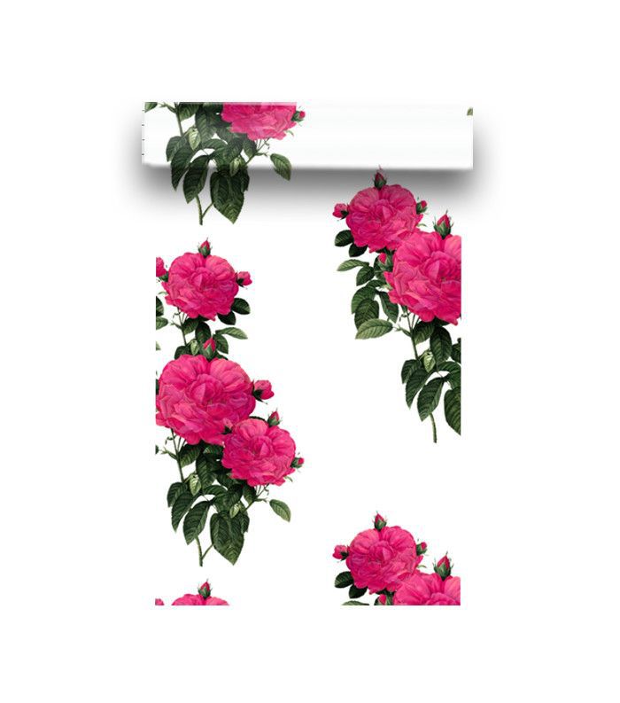 Peacoquette设计Redoute的玫瑰粉色壁纸