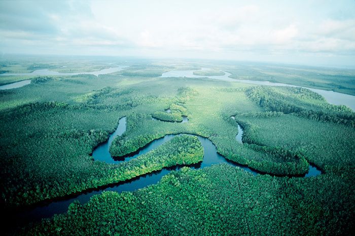 世界上最长的河流:刚果河