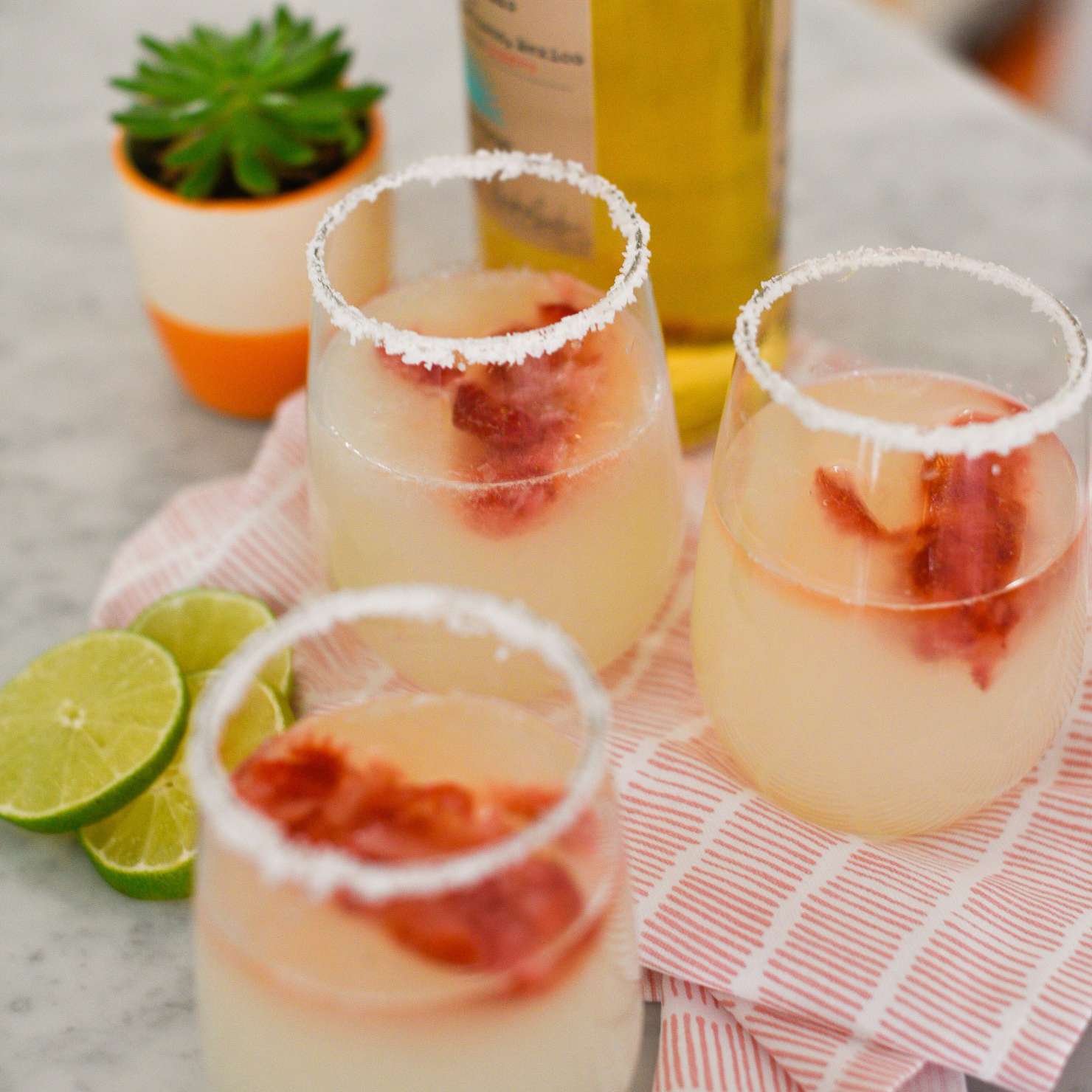 仙人掌玛格丽塔