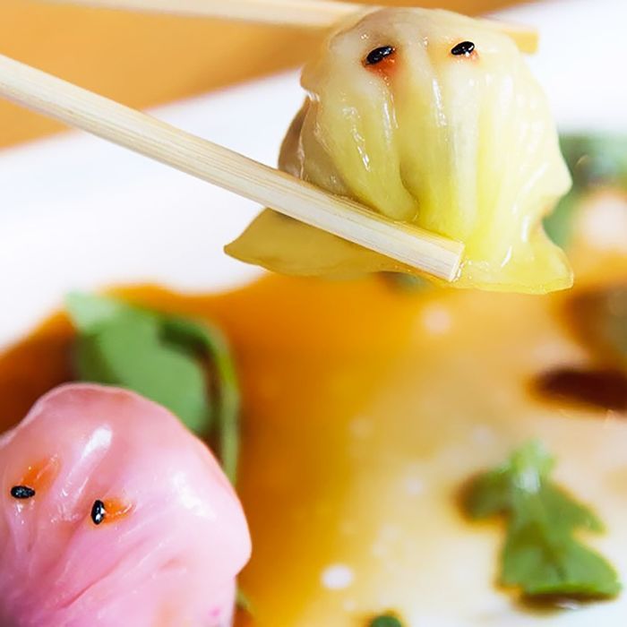 筷子夹起一个饺子