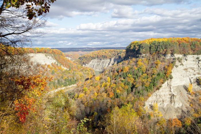 莱奇沃思州立公园红叶