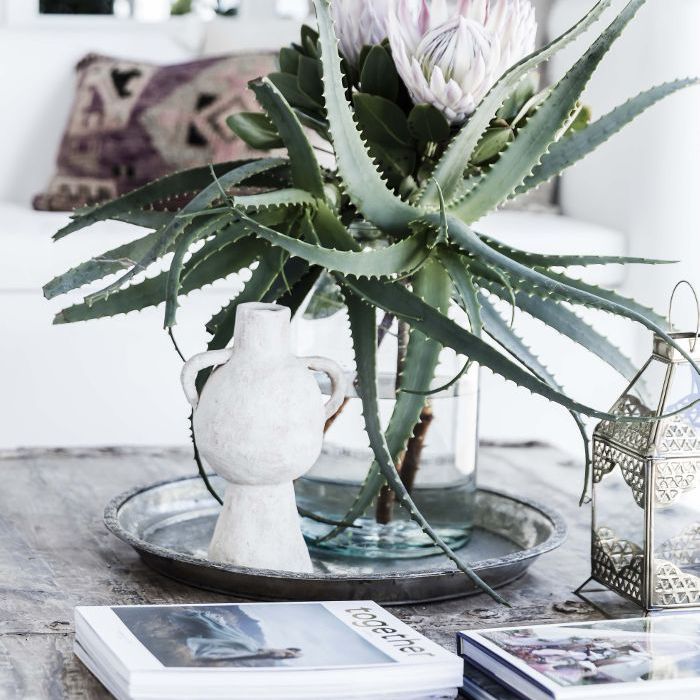 咒语和吉普赛集体的办公室