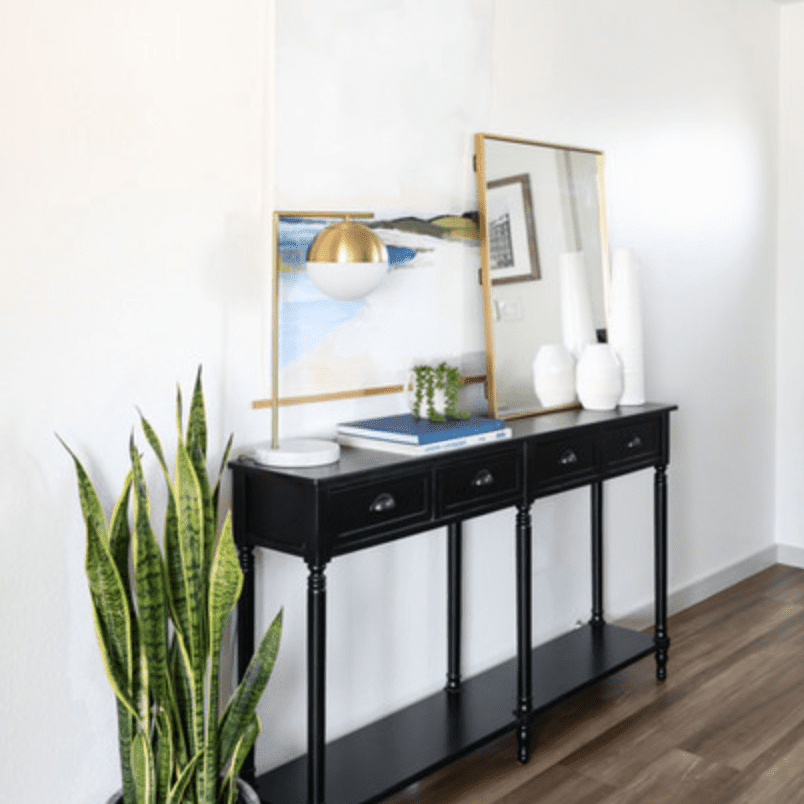 一张黑色控制台，装饰着沿海艺术品和大型蛇厂