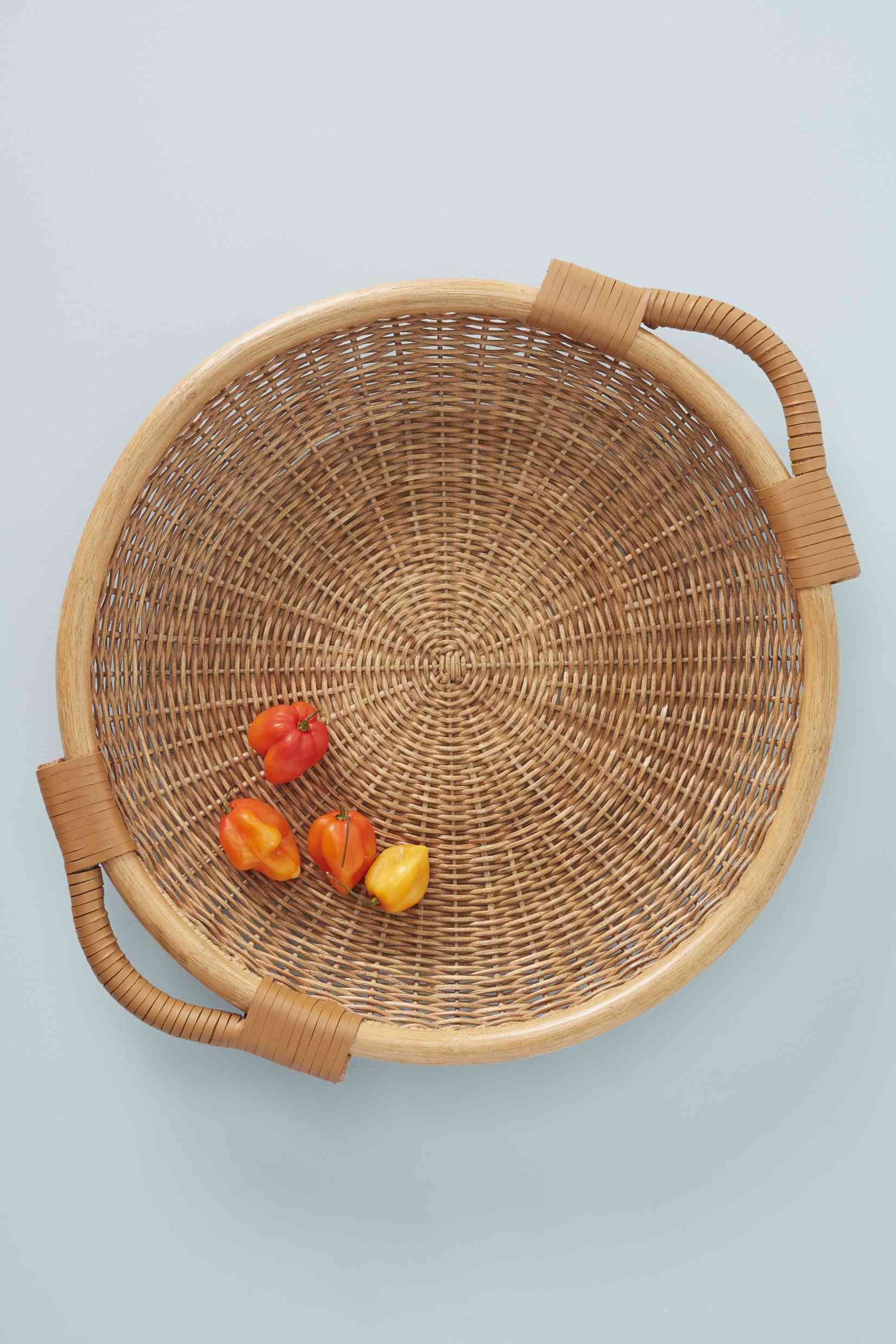 安布尔·刘易斯，人类学专家韦恩柳条托盘