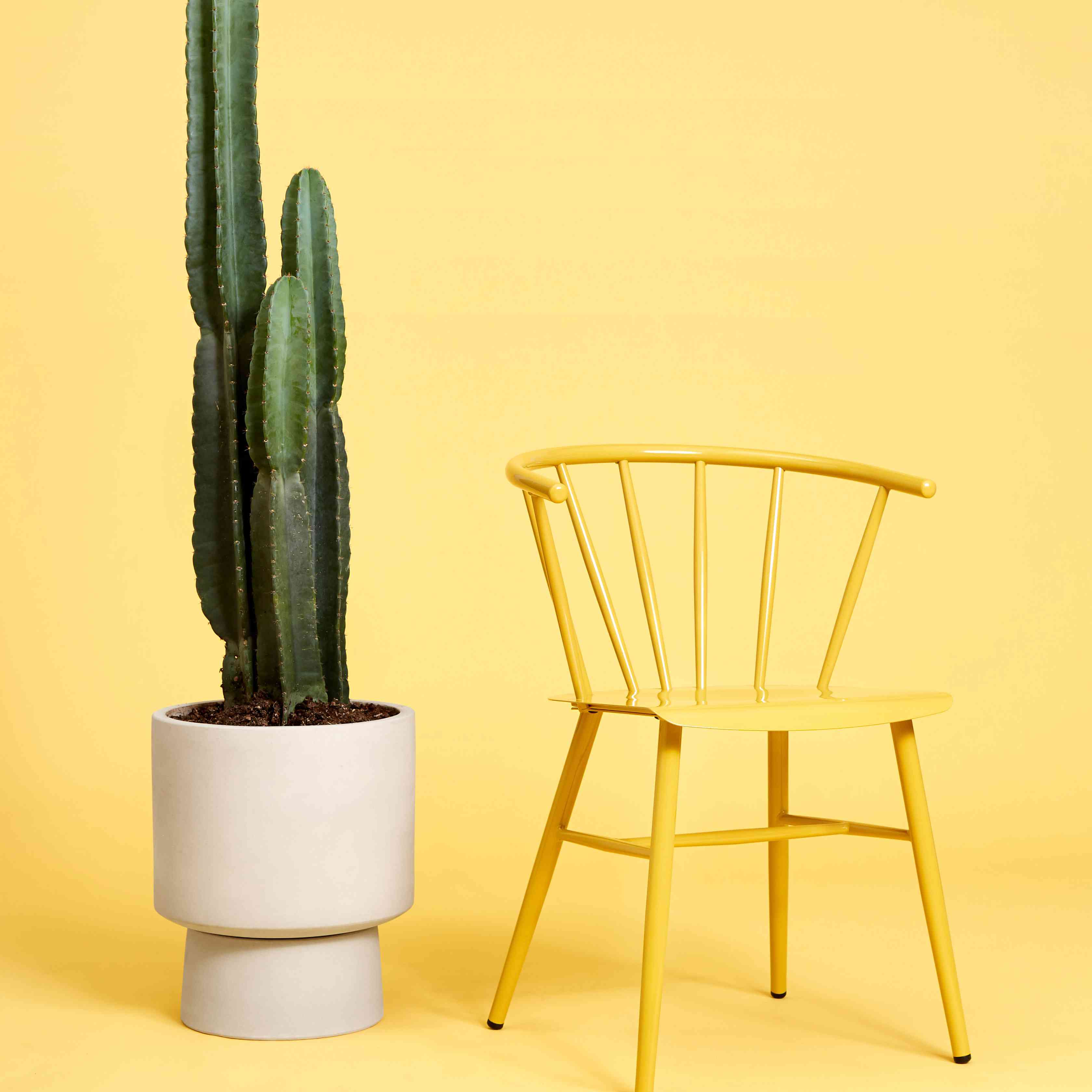 黄色椅子黄色背景