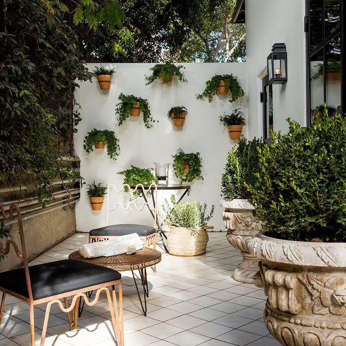 耶利米布伦特湖人首页