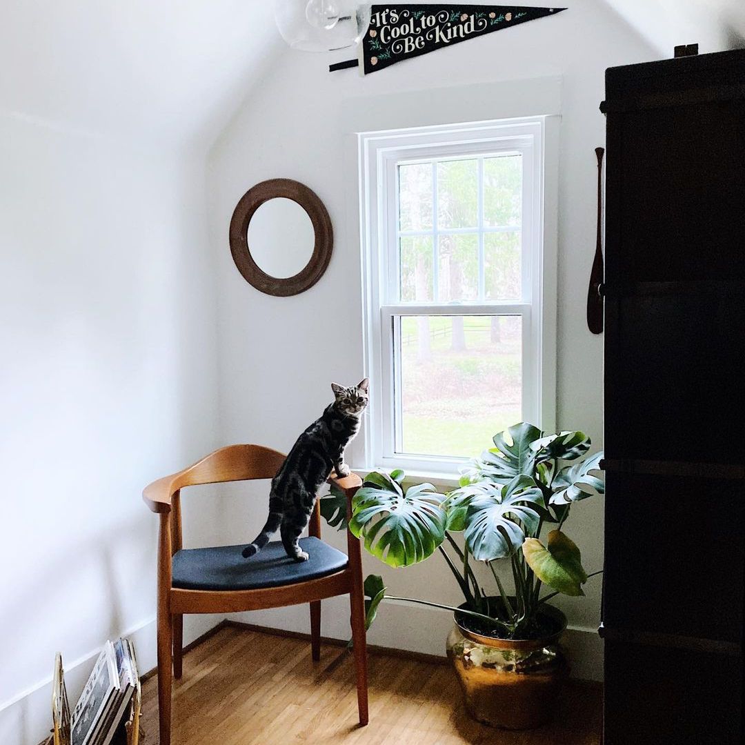 舒适的窗户座椅区域，具有“酷炫的善良”章节