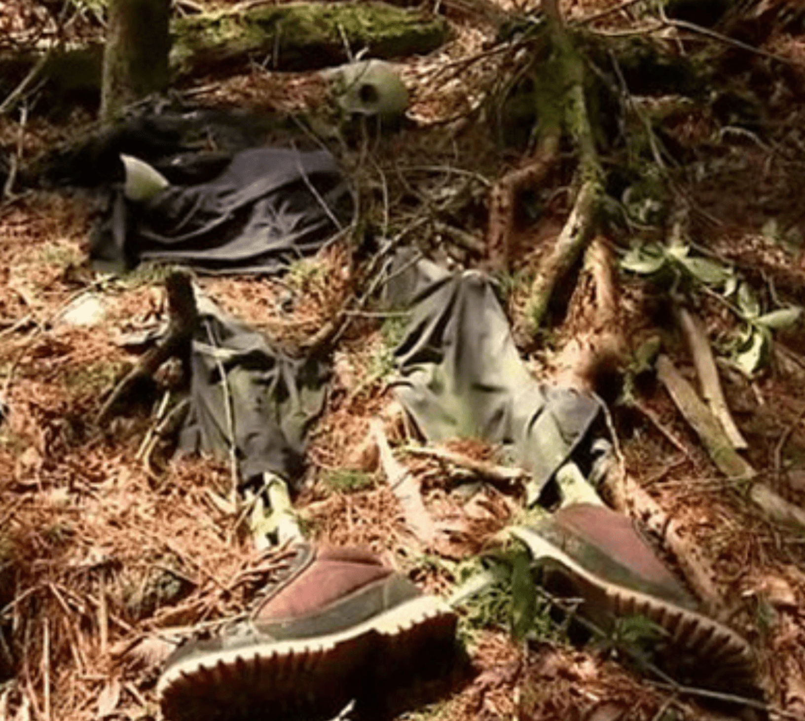 日本的自杀森林