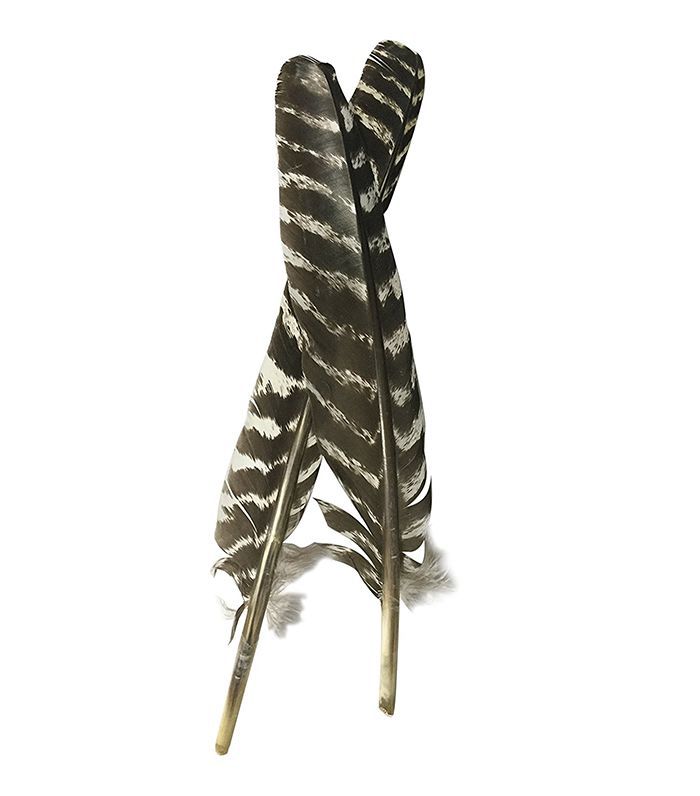 A级棒状火鸡沾污羽毛(无污渍、割伤、少片)