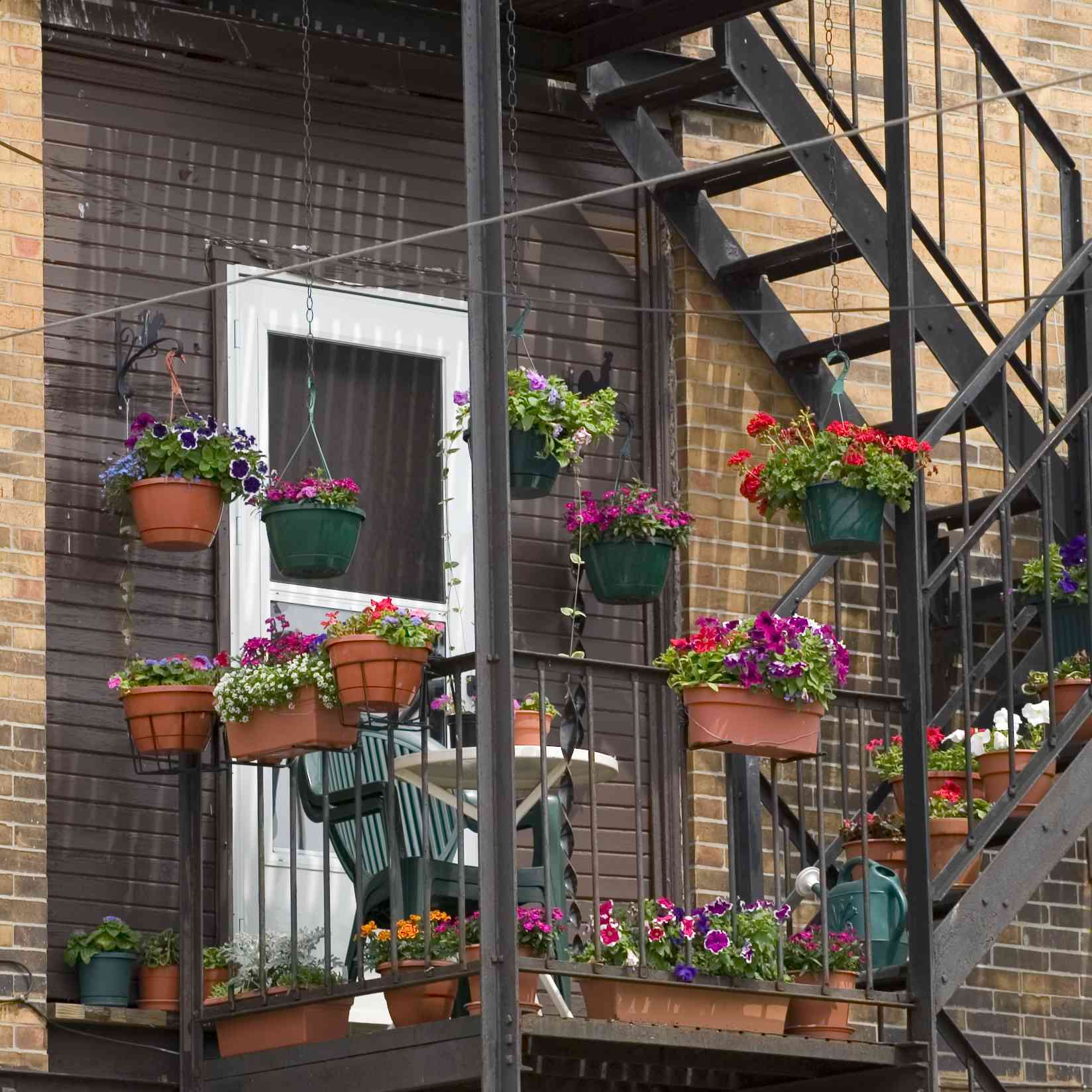 火灾逃生的花园。